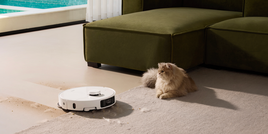 Robot Vacuum Buying Guide: Eco-Friendly & Smart Picks