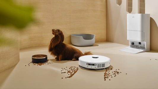 Robot Vacuum Maintenance Tips for Winter-Proof Guide