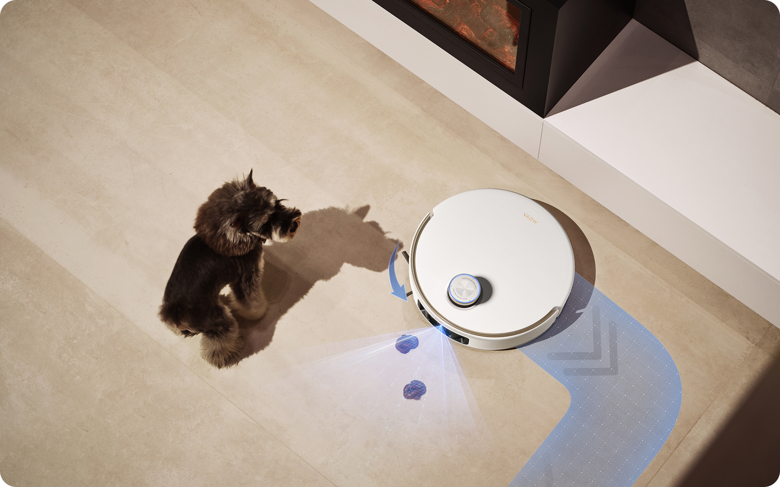 Best Budget Robot Vacuums in Canada (2026): Top Picks for Every Budget