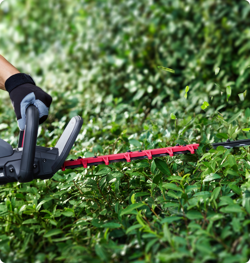 3-Speed Control for Versatile Trimming Needs