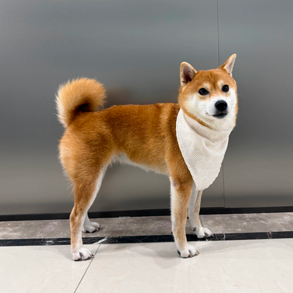 MOVA Pet Bib | Stylish Soft Dog Scarf with Adjustable Fit