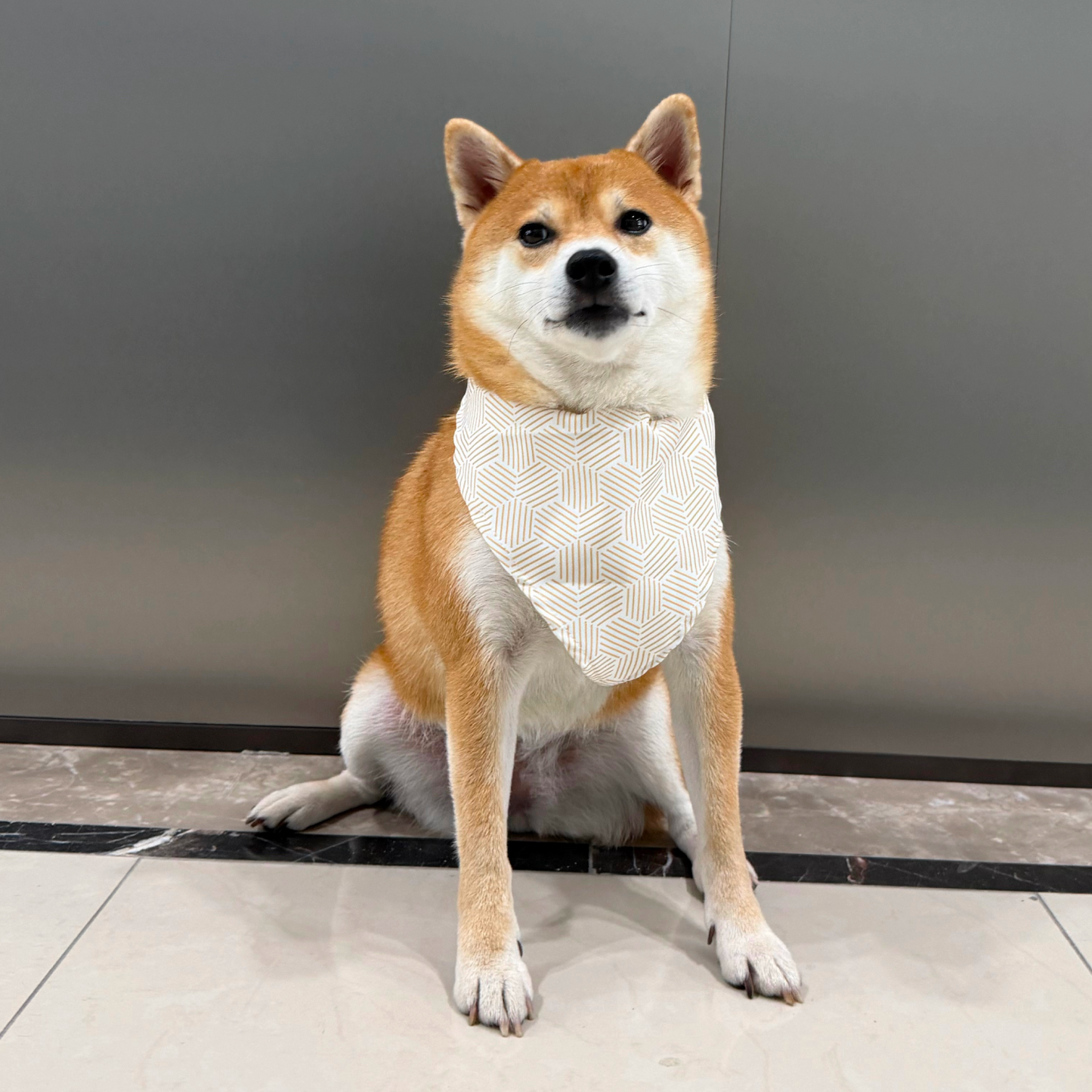 MOVA Pet Bib | Stylish Soft Dog Scarf with Adjustable Fit