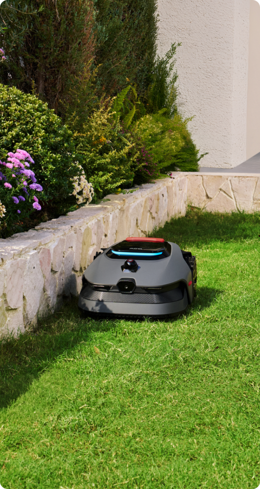 Refresh your yard