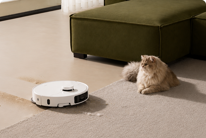 For your Furry friend