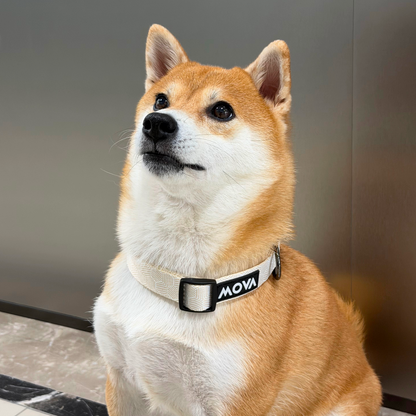 MOVA Pet Collar | Comfortable Adjustable Dog Collar for Daily Walks