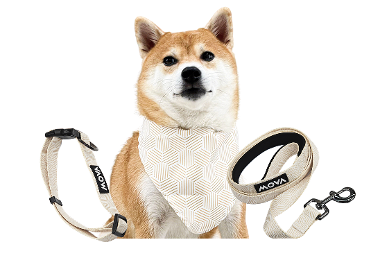 MOVA Pet Accessories Set: Bib, Leash & Adjustable Collar