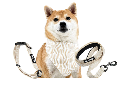 MOVA Pet Accessories Set: Bib, Leash & Adjustable Collar