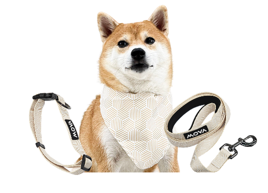 ‍MOVA Pet Accessories Set: Bib, Leash & Adjustable Collar (100% off)
