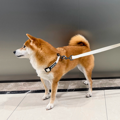 MOVA Pet Leash | Comfortable 66 Inch Dog Leash for Daily Use