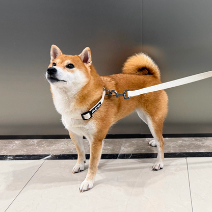 MOVA Pet Leash | Comfortable 66 Inch Dog Leash for Daily Use