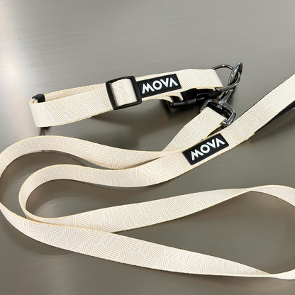 MOVA Pet Leash | Comfortable 66 Inch Dog Leash for Daily Use